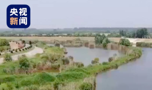 严肃追责问责！安徽滁河水体污染事件调查结果公布