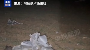 利比亚陆军参谋长哈达德在坠机事故中遇难