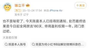 陈震最终处罚结果被曝：即日起全网禁言180天 停用盈利权限一年 税务违规受重罚