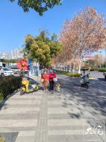 今冬是暖冬吗?专家:没那么简单 需等冬季结束后综合评定