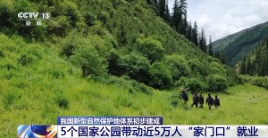 我国新型自然保护地体系初步建成