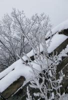 快来沉浸式感受北京2026年大雪，银装素裹的冬日画卷太浪漫了 初雪突袭的浪漫时刻