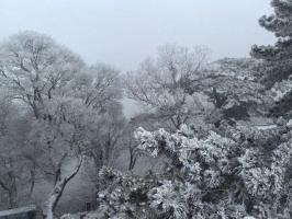 春运将启！南方部分地区雨雪持续 多地降雪影响交通