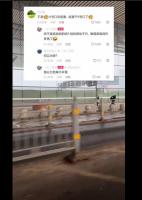 儿子车站狂追以为不舍结果是送错站 温馨场面反转背后的故事