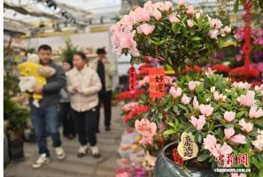 “过年”中的“年”本意是什么 禾谷成熟之意