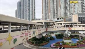 香港男子深夜尾随女子泼不明液体 厨师因怪癖作案