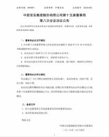 90后女将鞠彤欣出任中国宝安副总裁 年轻力量引领变革