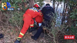 晨练大爷多看一眼救回老太太一命