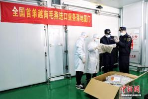 中国首次从越南进口毛燕 拓展东盟优质农食产品输华通道