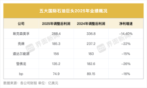 五大西方能源巨头陷盈利寒冬 净利润普遍下滑