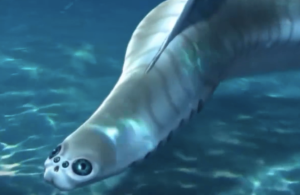 人类远古祖先或比二郎神多只眼，5亿年前人类祖先或有四只眼