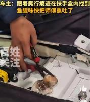 女子苦寻臭八爪鱼三天拆车抓出 车内“越狱”大戏