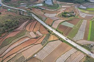 大地惊蛰！奏响春天的奋进序曲