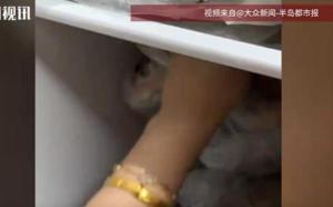 女子把价值十几万首饰藏冰箱 民间智慧藏金法