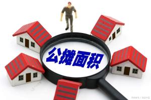 人大代表樊芸：公摊面积要明确，让老百姓明明白白消费 破解购房“糊涂账”