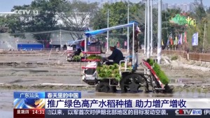 助力增产增收 一大批新品种、新技术推广应用