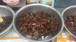 夜宵顶流小龙虾上市 价格走低实现“小龙虾自由”