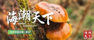 92%的人将遭遇极端热浪！一生气候灾害暴露风险翻倍 全球变暖加剧极端事件