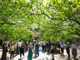 “最夯清明假期”收官：北京广州西安酒店入住增长三成，海南淡季翻红 长线游需求激增