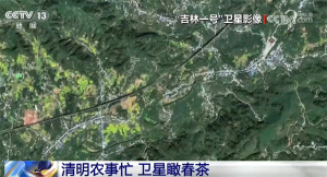 春茶产业走出“农文旅”融合发展新模式