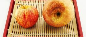 女子吃两月前买的苹果后便血8次 过期水果引发健康危机