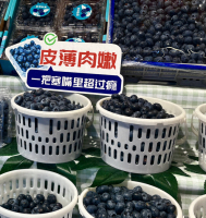 蓝莓价格跳水是国产水果“成人礼” 迈向大众普惠的关键一步