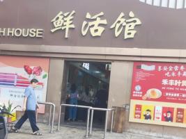 猪肉价格又跌了 市场探底进行时