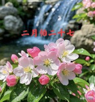 老话“二月怕二十七” 有啥怕的？