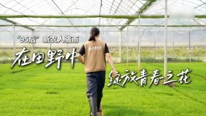 春耕沃野 消费焕新 活力中国向新行