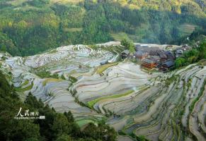 贵州从江：梯田如镜