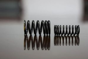 重庆沙坪坝助力中国摩托驰骋世界赛场 打破37年垄断