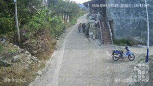 救助一线丨“蛇王” 闲逛觅食！吓坏群众 晴隆消防火速拦截