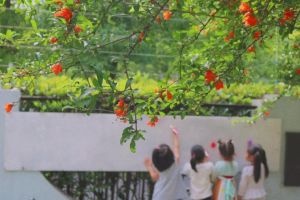 像夏天一样生长 万物竞发迎初夏