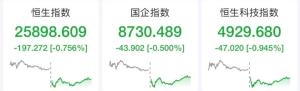 港股智谱跌近4% 科技股普遍下挫