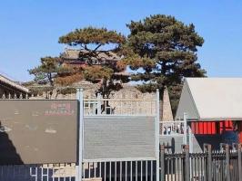 秦皇岛山海关景区回应被指遮挡景观 侧面可拍全景