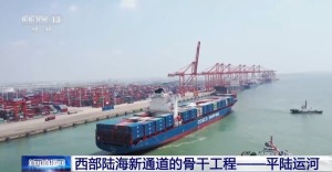 平陆运河成我国西部对外联通“大动脉”