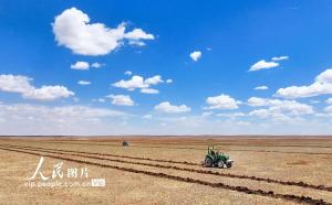 内蒙古乌兰察布：修复草原锁风沙