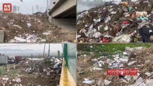 央视曝光违法倾倒乱象 农村垃圾治理亟待加强