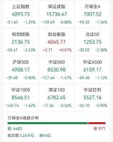 全市场超4400只个股下跌 A股四大指数分化