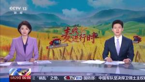 00后農(nóng)機(jī)手跨越700公里趕夏收 保障網(wǎng)護(hù)航搶收路