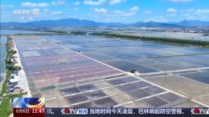 从车间到景区 解锁工业旅游新玩法
