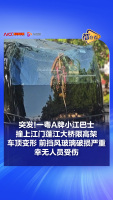 司机称开导航仍撞上限高架 导航未提醒限高