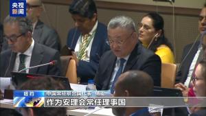 中巴安理会会议中方提四点主张 维护决议权威与和平安全