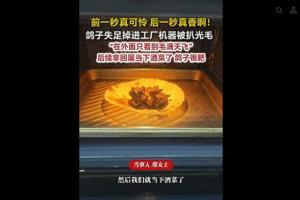 鸽子失足掉进工厂机器被扒光毛 冷却塔意外“拔毛”