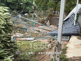 动物园被淹员工看到狮子死亡落泪 洪水致园区损失惨重
