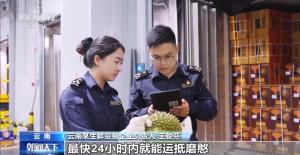 中老铁路助力 云南鲜榴莲进口领跑全国