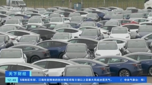 120万辆特斯拉遭调查 悬架故障引关注