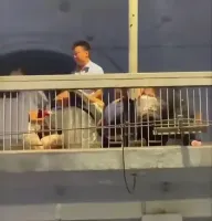 警方通报城管协管员和摊主冲突 双方因摆摊起争执