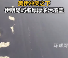伊媒：伊朗岛屿被厚厚油污覆盖