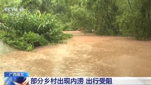 广西部分乡村出现内涝 积水最深超4米 强降雨致交通中断